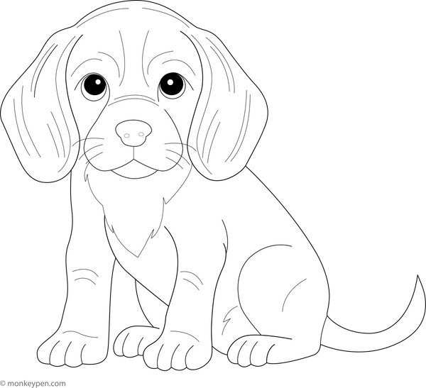 Beagle coloring page – free printable for kids to color and enjoy