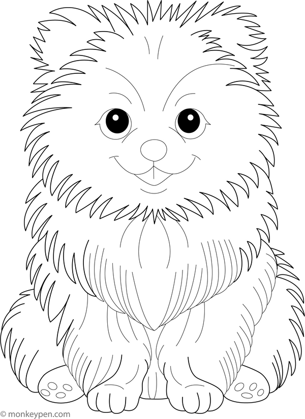 Dog Coloring Book