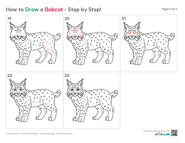 Easy Bobcat drawing for kids