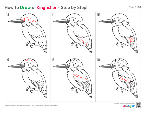 How to Draw a Kingfisher –Simple Step-by-Step Bird Drawing for Kids