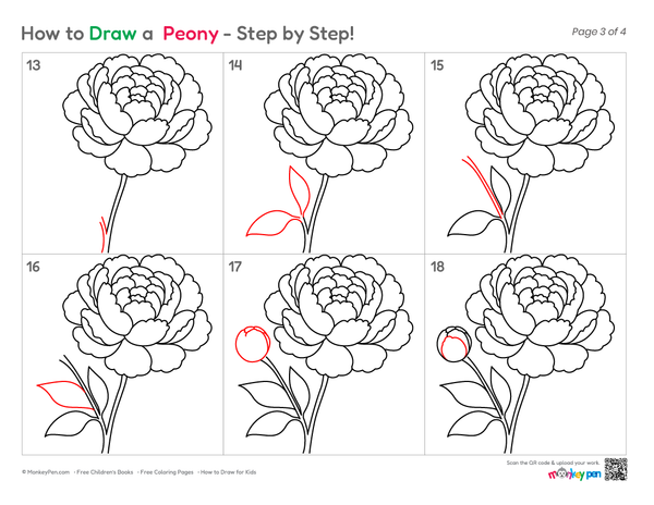 How to Draw a Peony – Easy Step-by-Step Flower Drawing for Kids