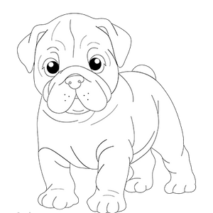 Bull dog coloring page – free printable for kids to color and enjoy