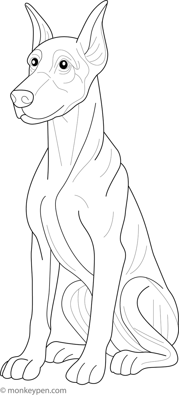 Dog Coloring Book