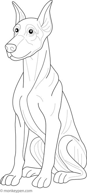 Dobermann coloring page – free printable for kids to color and enjoy