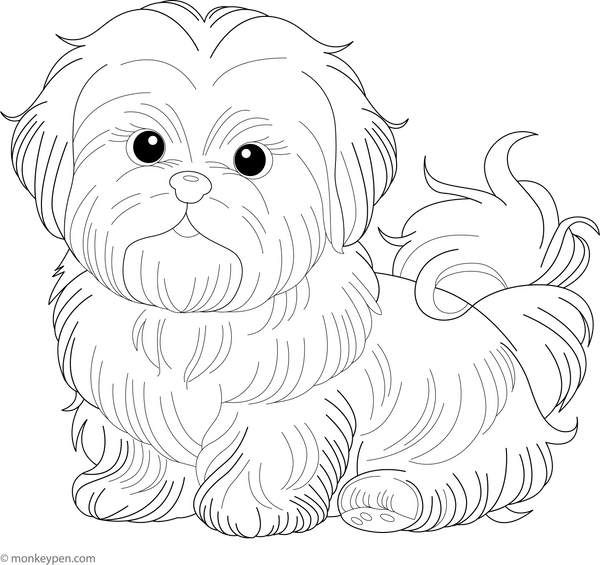 Dog Coloring Book