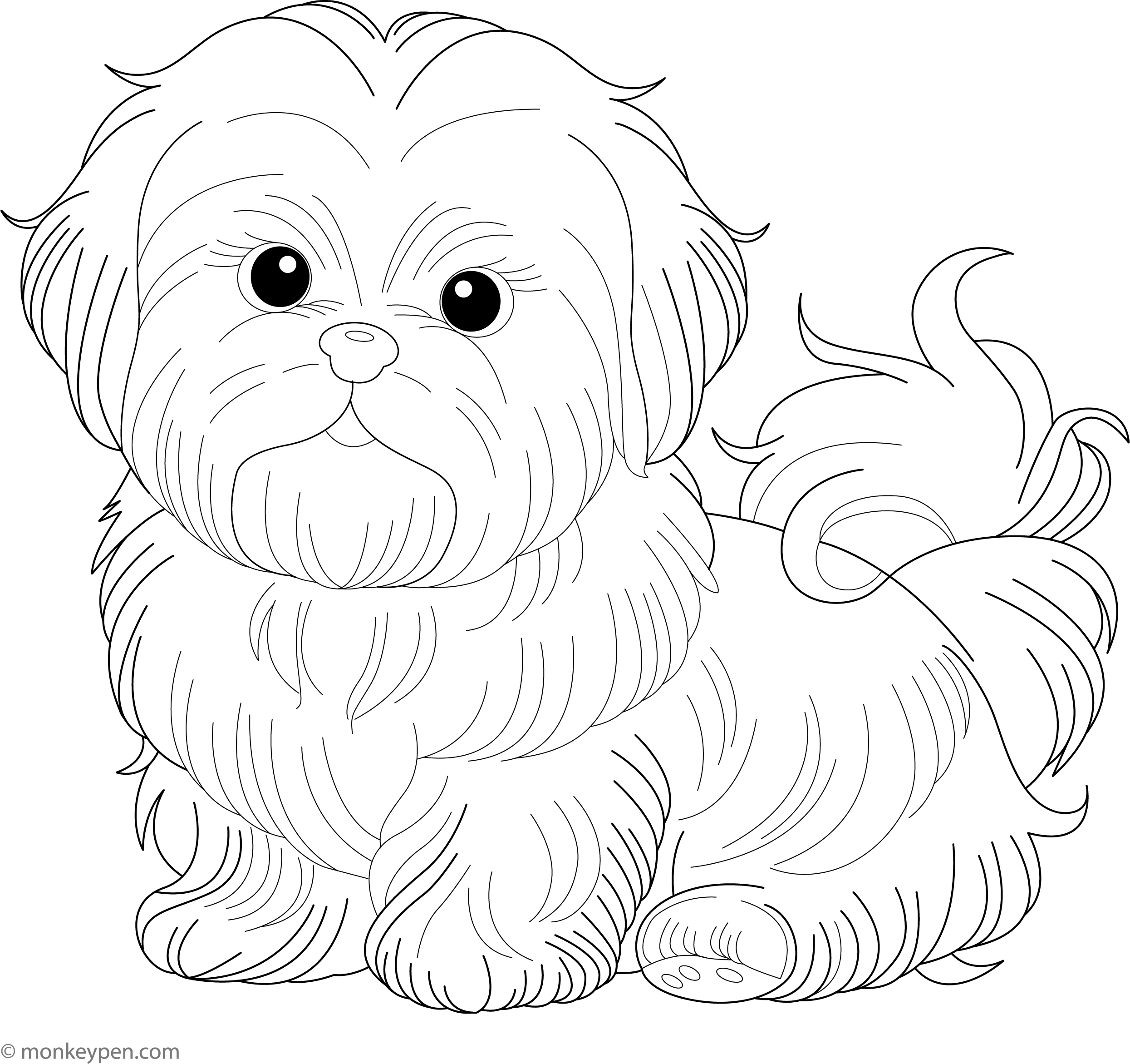 Shih Tzu Free Kids Activity Printable Coloring Page shih-tzu-free-kids-activity-printable-coloring-page
