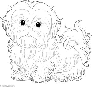Shih Tzu coloring page – free printable for kids to color and enjoy