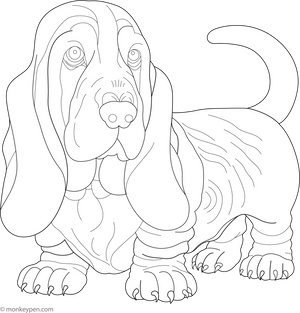 Basset Hound coloring page – free printable for kids to color and enjoy