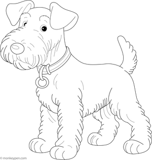 Airedale Terrier coloring page – free printable for kids to color and enjoy