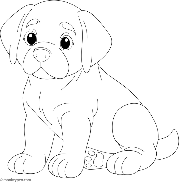 Dog Coloring Book