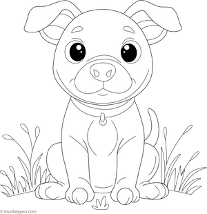 American Pitbull coloring page – free printable for kids to color and enjoy