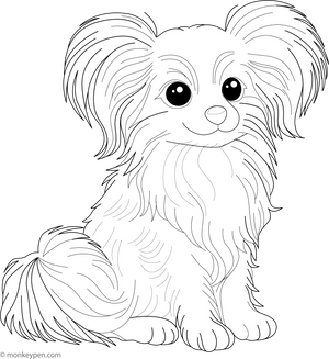 Papillon coloring page – free printable for kids to color and enjoy