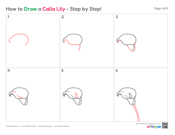 Follow this easy step-by-step guide to draw a beautiful calla lily with confidence.