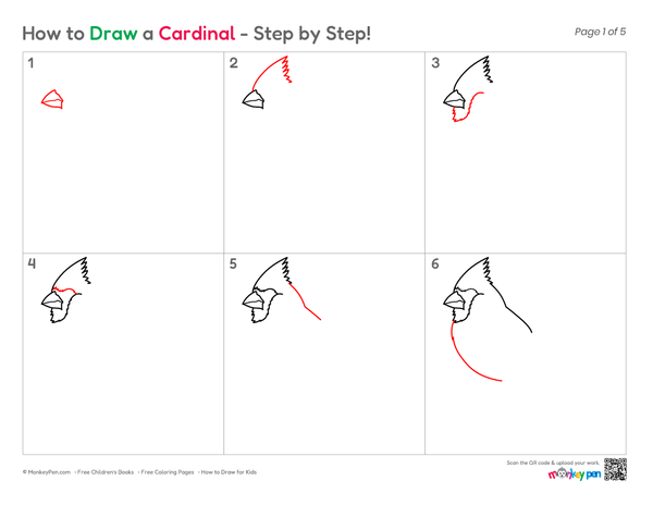 Smooth cardinal sketch demonstrating easy drawing steps.
