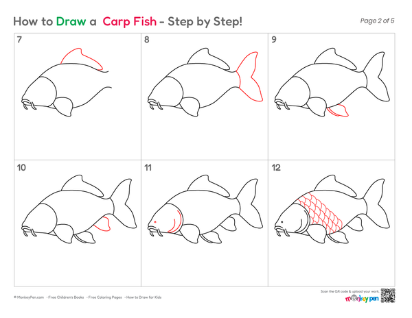 Beginner-friendly Carp Fish drawing