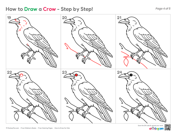 Beginner bird drawing featuring a crow guide.