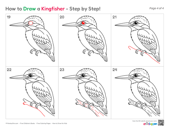 How to Draw a Kingfisher –Simple Step-by-Step Bird Drawing for Kids