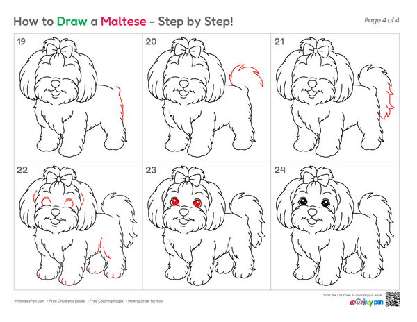 How to Draw a Maltese – Easy Step-by-Step Dog Drawing for Kids