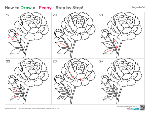 How to Draw a Peony – Easy Step-by-Step Flower Drawing for Kids