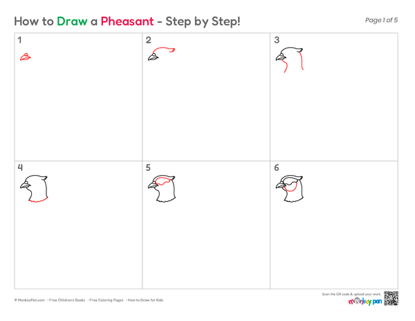Pheasant bird coloring-style drawing for children