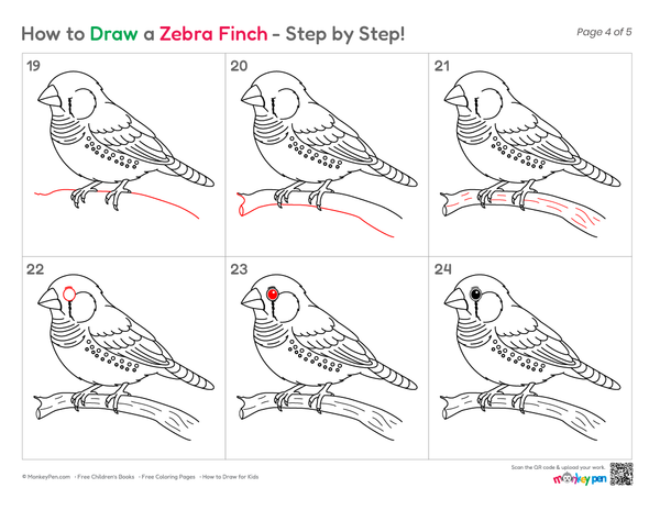 Easy zebra finch illustration for kids.