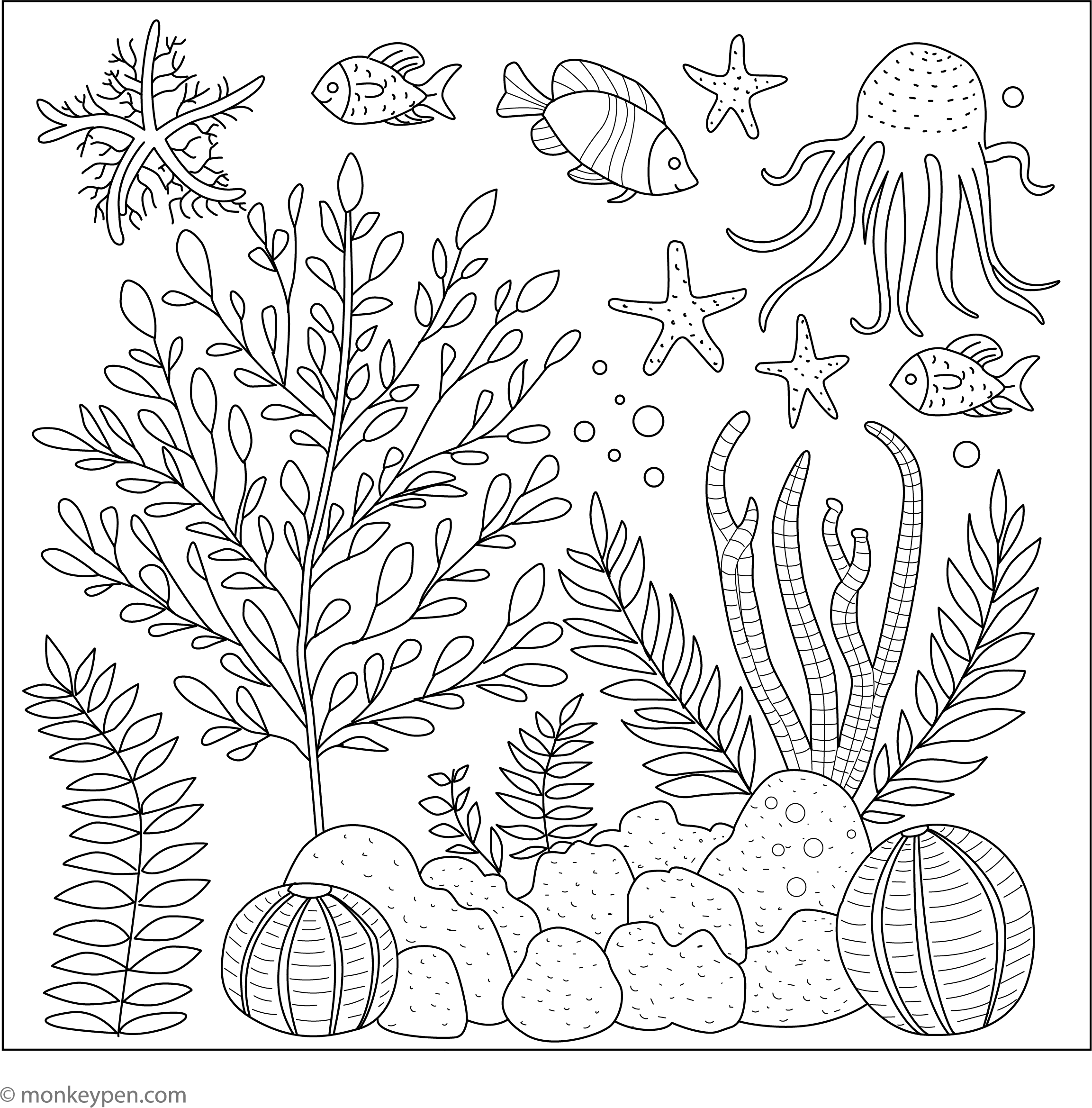 Sea Plant Coloring Page – Fun and Educational Printable for Kids