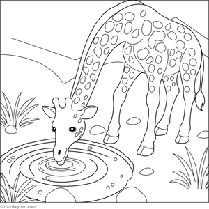 Giraffe Drinking Water coloring page – free printable for kids to color and enjoy