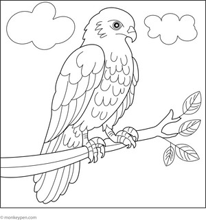 Hawk Perched on a Branch coloring page – free printable for kids to color and enjoy