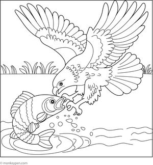 Hawk Catching Prey coloring page – free printable for kids to color and enjoy