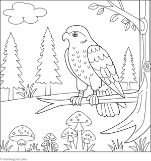 Hawk in a Forest coloring page – free printable for kids to color and enjoy
