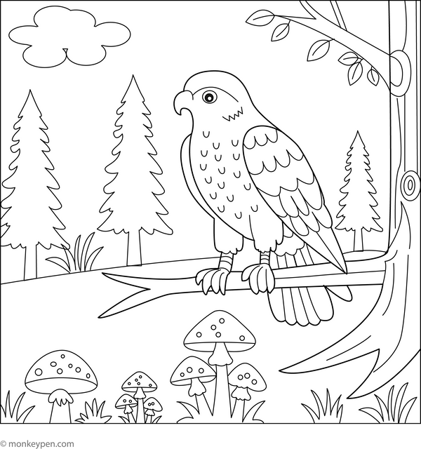 Hawk in a Forest coloring page – free printable for kids to color and enjoy