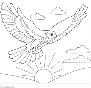 Hawk and the Sunset coloring page – free printable for kids to color and enjoy