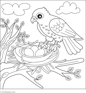 Hawk and Its Nest coloring page – free printable for kids to color and enjoy