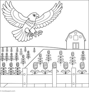Hawk and Farmer’s Field coloring page – free printable for kids to color and enjoy