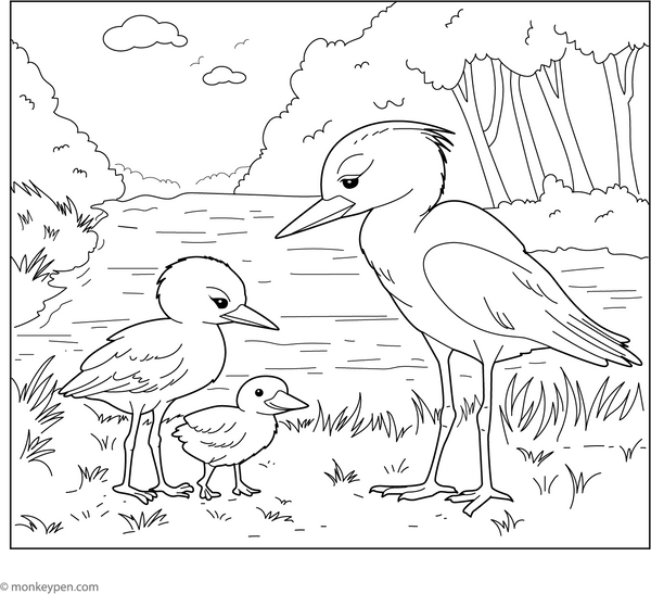 Heron Coloring Book (PDF)