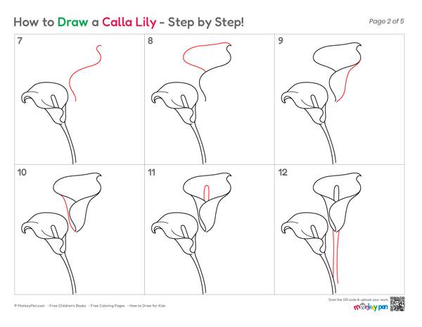 How to draw a calla lily step by step using simple techniques, clean outlines, and fun instructions for kids and beginners.