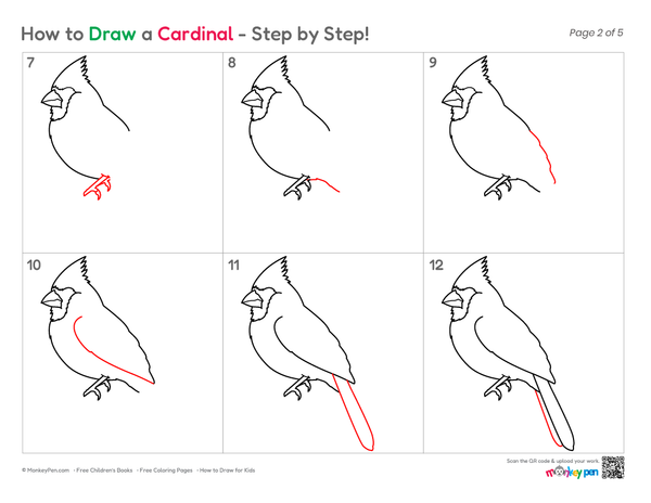 Easy cardinal bird drawing lesson showing each step from beak to tail.