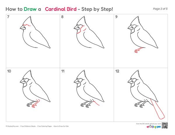 Beginner-friendly Cardinal bird drawing for kids