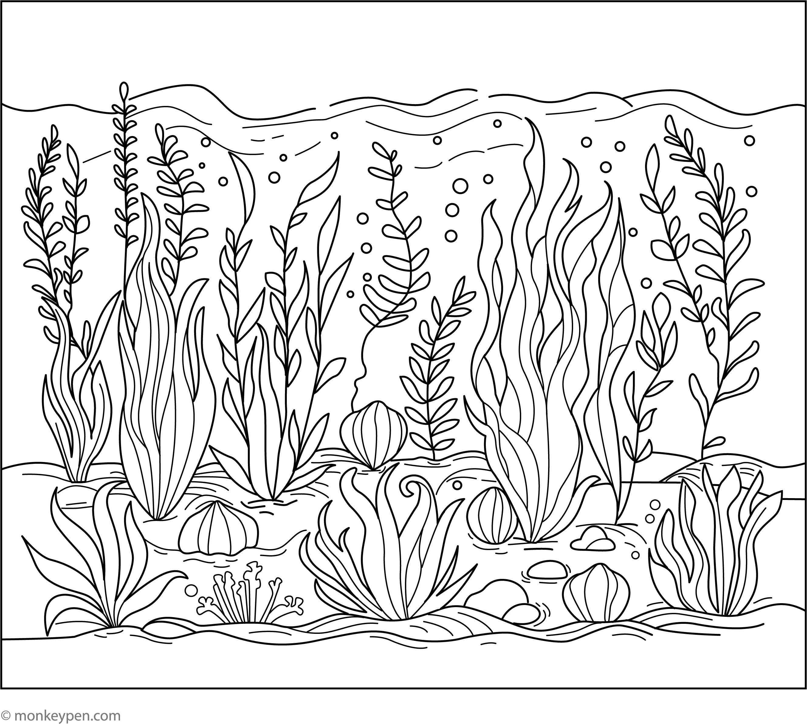 Printable Sea Plants and Algae Coloring Sheet – Free PDF