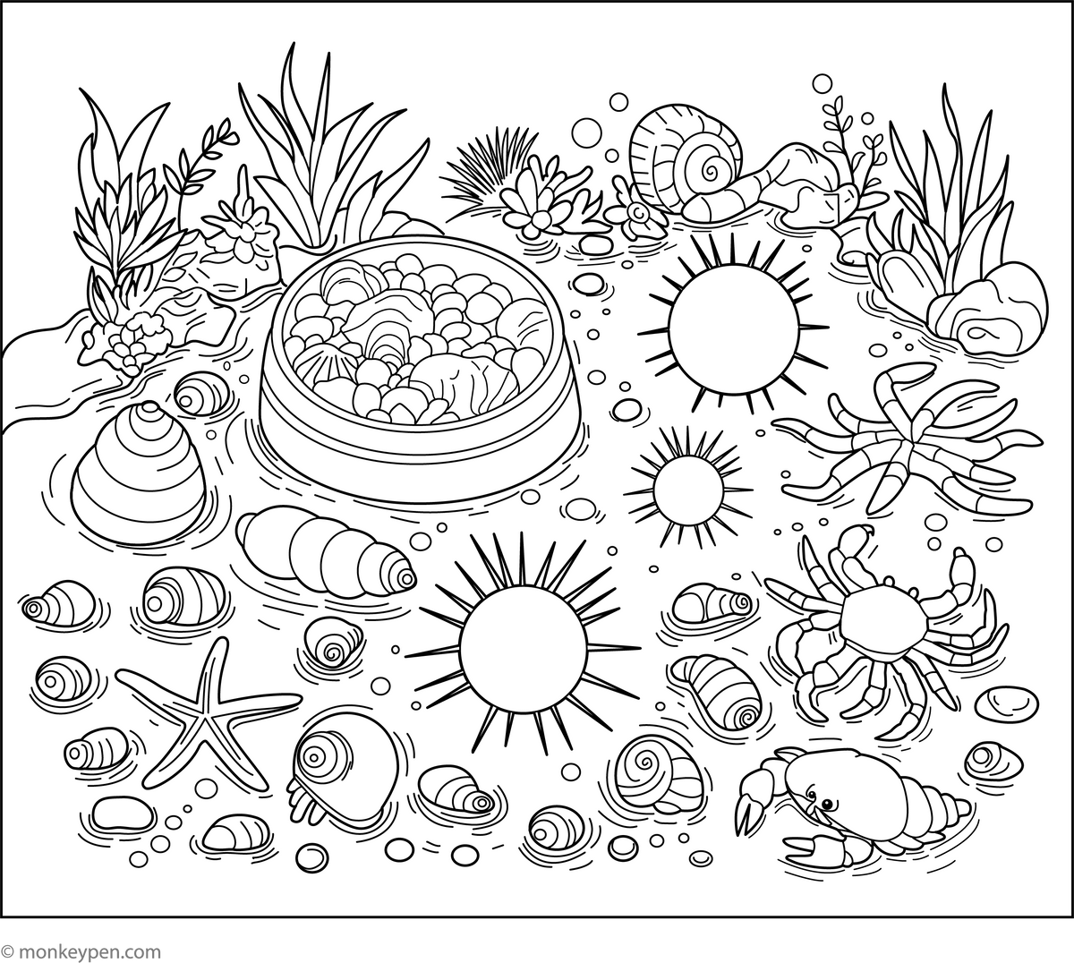 Tide Pools Coloring Page – Free Printable PDF for Kids Fun