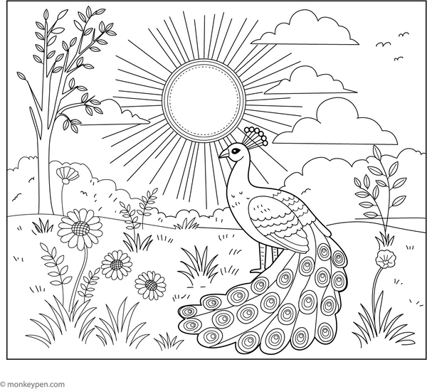 Peacock Coloring Book