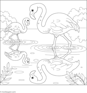 Flamingo and its Reflection Coloring Page
