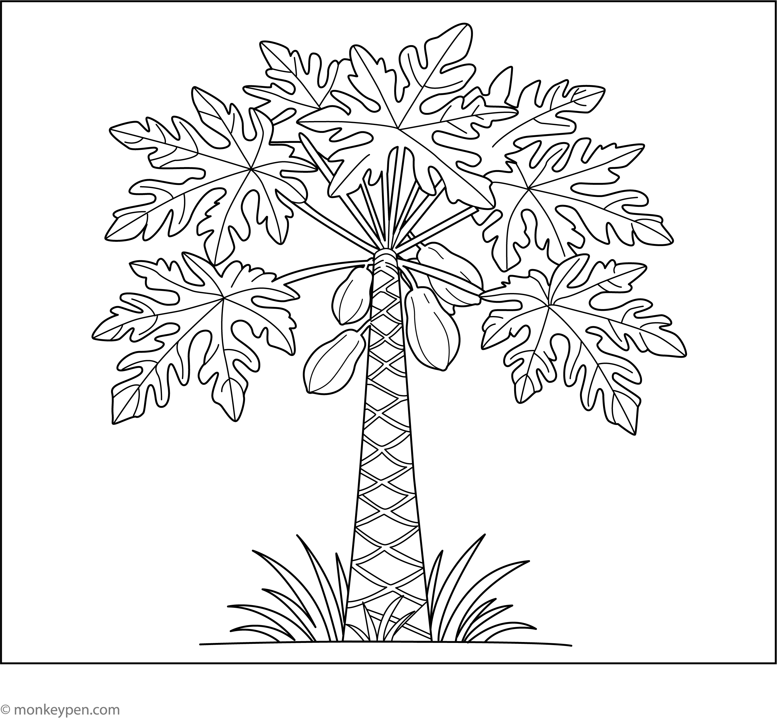 Papaya Tree Sticker Clipart Papaya Tree