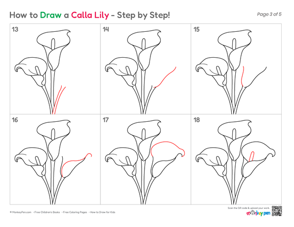 A step-by-step coloring page showing how to draw a calla lily. The first few panels show black outline drawings of the flower, and the latter panels add red colored-pencil strokes to guide the drawing.