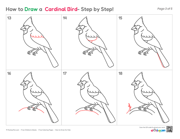 Easy Cardinal bird illustration for kids