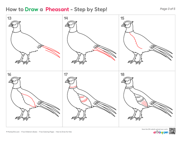 Cute Pheasant sketch for kids