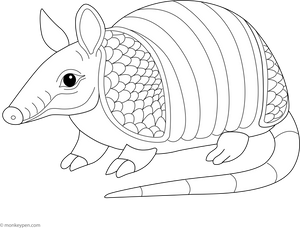 Armadillo Coloring Page