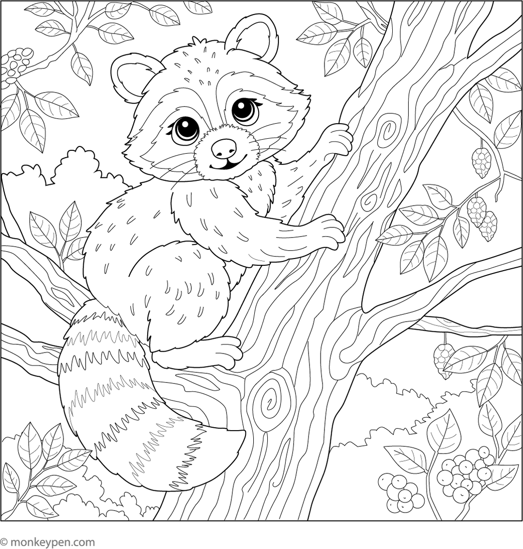 Raccoon Coloring Book – Free Printable Download for Kids