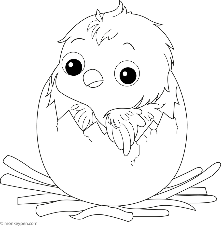 Chick Hatching - Free Printable Coloring Page PDF for Kids