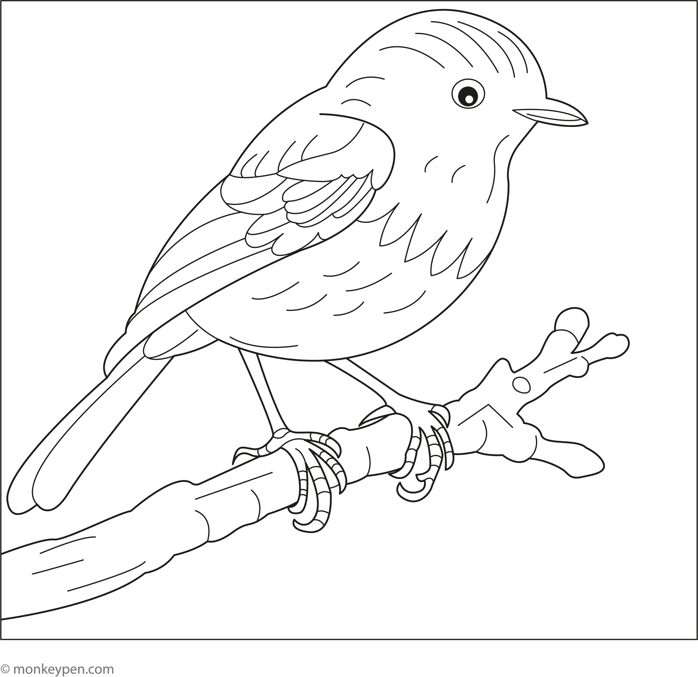 Robin Line Vector Line Drawing Of Robin